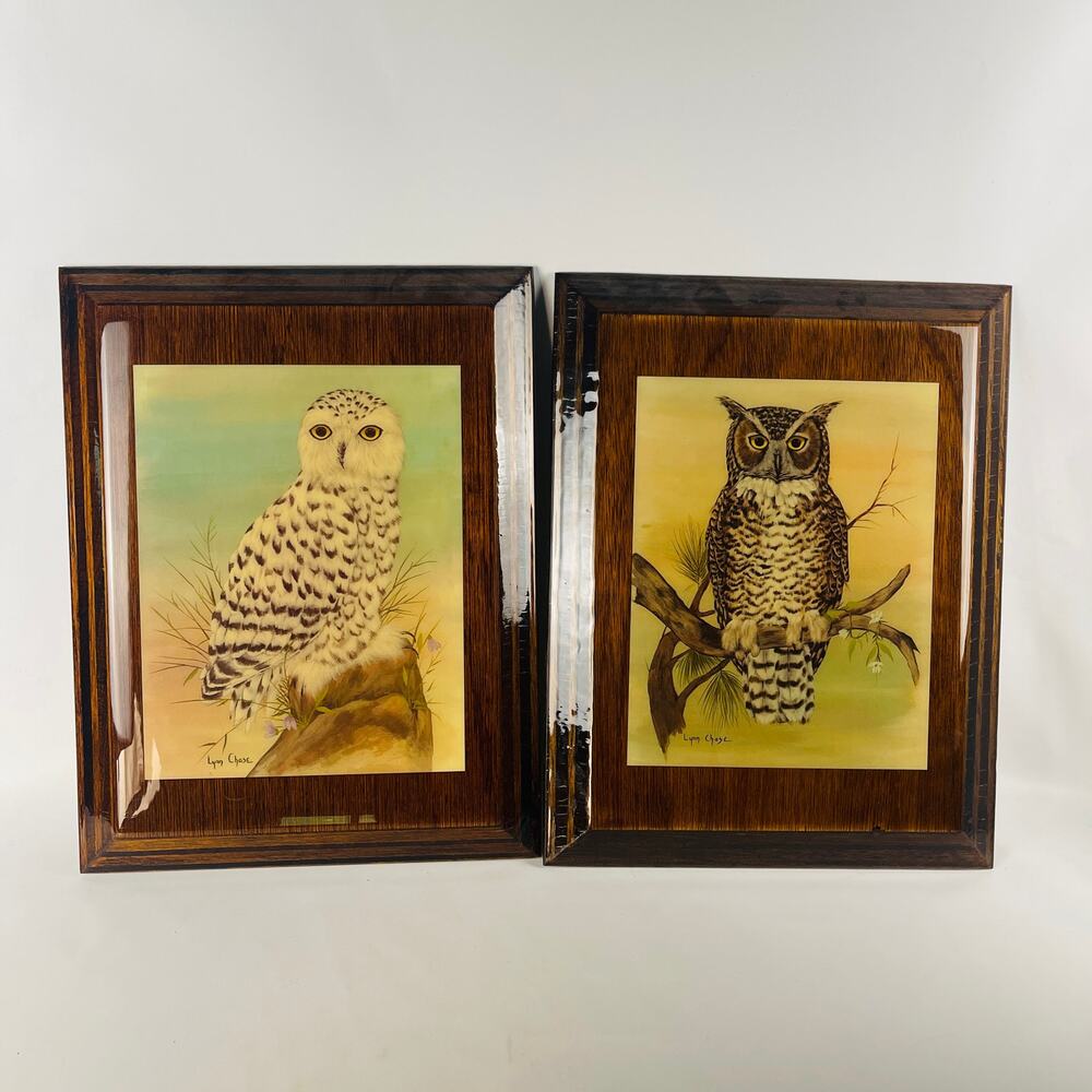 Vintage Snowy and Great Horned Owl Laqured Wall Plaques by Lynn Chase 11 x 14"